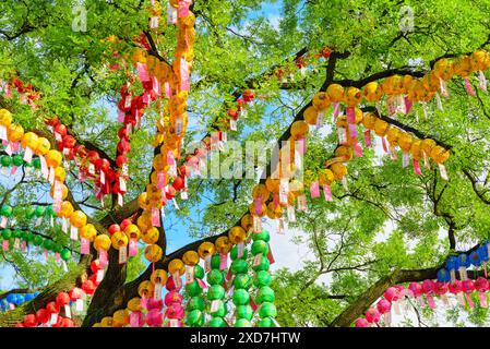 Seoul, Südkorea - 15. Oktober 2017: Fantastischer, farbenfroher Blick auf grünen Baum, der mit Papierlaternen im Garten des Jogyesa-Tempels dekoriert ist. Stockfoto