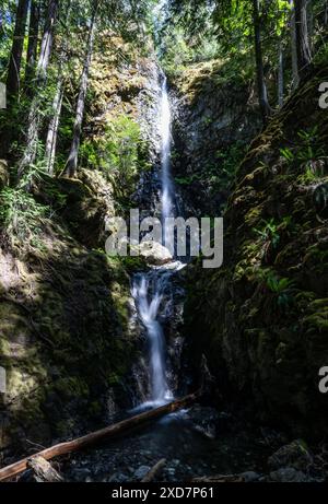 Campbell River CAN, Kanada / Kanada, Urlaubseindruecke und Sehenswuerdigkeiten, rund um Campbell River, 20.06.2024. Bei den Lupin Falls / Wasserfälle. CAN, Kanada / Kanada, Urlaubseindruecke und Sehenswuerdigkeiten, rund um Campbell River, 20.06.2024. *** Campbell River CAN, Kanada Kanada, Urlaubseindrücke und Sehenswürdigkeiten, rund um Campbell River, 20 06 2024 bei Lupin Falls Wasserfälle CAN, Kanada Kanada, Urlaubseindrücke und Sehenswürdigkeiten, rund um Campbell River, 20 06 2024 Copyright: XEibner-Pressefoto/HeikexFeinerx EP HFR Stockfoto