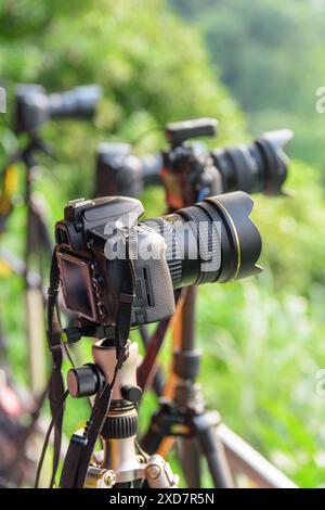 Taipeh, Taiwan - 25. April 2019: Ungewöhnlicher Blick auf eine Reihe professioneller Kameras auf Stativen zwischen grünen Bäumen. Malerischer Ort für Fotos. Stockfoto