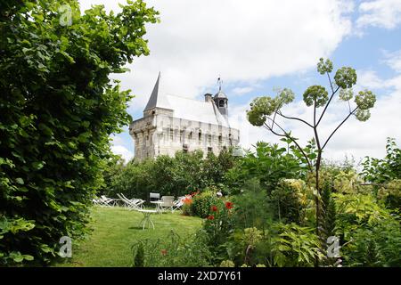 Château de Chinon am Ufer der Vienne in Chinon. Garten mit Tour de l'Horloge (Uhrturm). Sommer, Juni, Frankreich Stockfoto