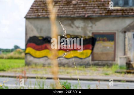 Eine Hausruine mit einer angemalten Deutschlandfahne an der Fassade steht an einer Bundesstraße in Vorpommern. Anklam *** Eine Ruine mit gemalter deutscher Flagge an der Fassade steht an einer Hauptstraße in Anklam, Vorpommern Copyright: FrankxHormannx/xnordlicht Stockfoto