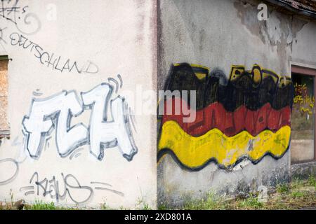 Eine Hausruine mit einer angemalten Deutschlandfahne an der Fassade steht an einer Bundesstraße in Vorpommern. Anklam *** Eine Ruine mit gemalter deutscher Flagge an der Fassade steht an einer Hauptstraße in Anklam, Vorpommern Copyright: FrankxHormannx/xnordlicht Stockfoto