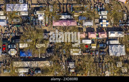 Luftaufnahme Gelsentrödel, Flohmarkt, Flohmarkt an der Trabbahn, Stände, Feldmark, Gelsenkirchen, Ruhrgebiet, Nordrhein-Westfalen, Deutschland Stockfoto