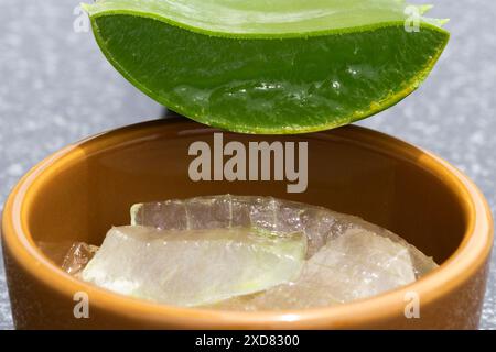 Nahaufnahme einer Schüssel mit frisch geschnittenem Aloe Vera und Aloe Vera Blatt. Stockfoto