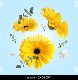 Gelbe Gerberas und andere schöne Blumen in der Luft auf hellblauem Hintergrund Stockfoto