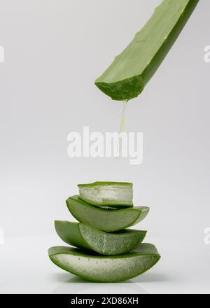 Aloe Vera Gel tropft vom Blatt auf der gestapelten Aloe Vera. Stockfoto