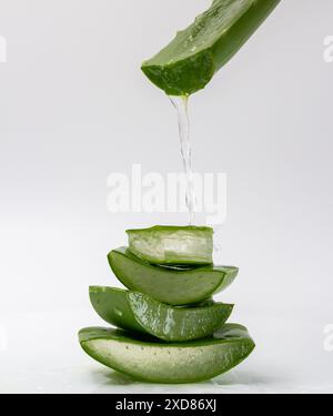 Nahaufnahme von Aloe Vera Gel, das vom Blatt auf der gestapelten Aloe Vera tropft. Stockfoto