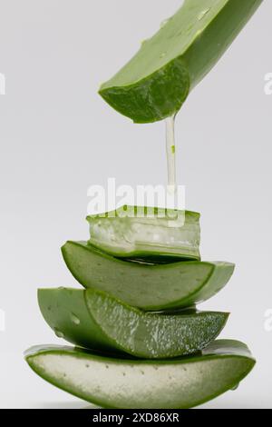 Makroaufnahme von Aloe Vera Gel, das vom Blatt auf die gestapelte Aloe Vera tropft. Stockfoto