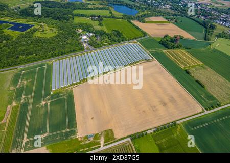 Erdbeerfelder mit Schutzabdeckung, Erdbeeranbau unter Folie, Bönninghauser Straße, Luftbild, Hostedde, Dortmund, Ruhrgebiet, Nordrhein-Westfalen, Deut Stockfoto