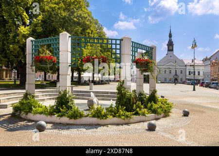 náměstí Přemysla Otakara II., Vysoké Mýto, Východní Čechy, Česká republika / Platz von Premysl Otakar II., Vysoke Myto, Tschechische Republik Stockfoto