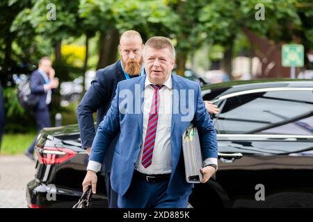 Potsdam, Deutschland. Juni 2024. Thomas Haldenwang, Präsident des Bundesamtes für Verfassungsschutz (BFV), kommt zur Arbeitssitzung am letzten Tag der Frühjahrstagung der Innenminister und Senatoren im Hotel Dorint an. Quelle: Christoph Soeder/dpa/Alamy Live News Stockfoto