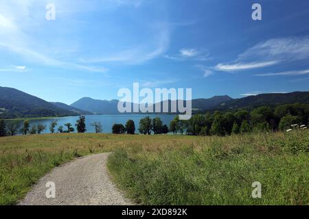 Tegernsee, Bayern, Deutschland 18. Juni 2024 hier der Blick auf den Tegernsee Landkreis Miesbach gesehen vom gut Kaltenbrunn bei Gmund, Blick Richtung Süden *** Tegernsee, Bayern, Deutschland 18. Juni 2024 hier der Blick auf den Tegernsee Landkreis Miesbach vom gut Kaltenbrunn bei Gmund aus gesehen, nach Süden gerichtet Stockfoto