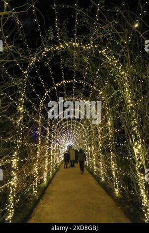 Die hellen Lichter des Christmas Light Trail Events, Weihnachten in Trentham Gardens, Stoke-on-Trent, Staffordshire, England, Großbritannien Stockfoto