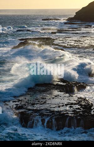 Wellen, die bei Sonnenuntergang gegen die felsige Küste krachen, Nobbies Phillip Island Stockfoto