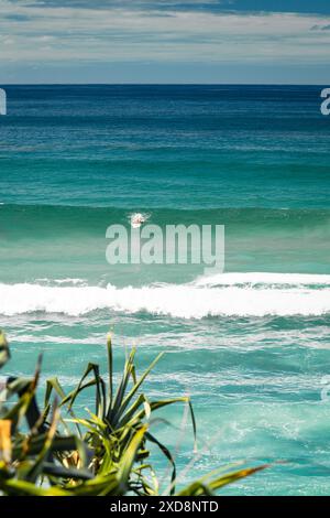 Surfer paddeln in türkisfarbenen Wellen in Burleigh Heads, Gold Coast Stockfoto