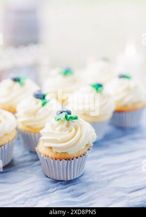Vanille-Cupcakes mit weißer Zuckerguss und kleinen blauen Dekorationen Stockfoto