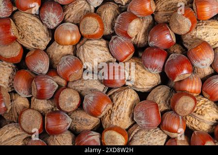 Haselnüsse und Walnüsse in Nahaufnahme Stockfoto