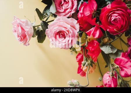 Nahaufnahme von rosa und roten Rosen Stockfoto