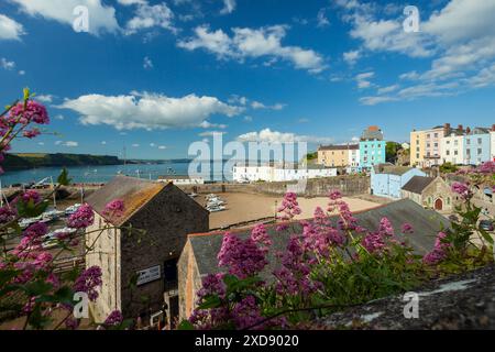 Sommernachmittag in Tenby Harbour, Pembrokeshire, Wales. Stockfoto