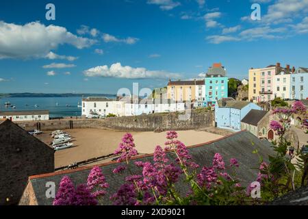 Sommernachmittag in Tenby Harbour, Pembrokeshire, Wales. Stockfoto