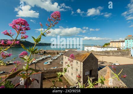 Sommernachmittag in Tenby Harbour, Pembrokeshire, Wales. Stockfoto