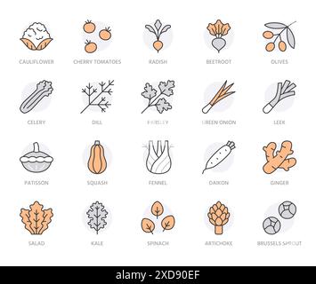 Symbole für die Gemüselinie. Grünkohl, Spinat, Kürbis, Kirschtomate, Blumenkohl, Rote Bete, Daikon minimale Vektordarstellung. Einfaches Umrisszeichen für Stock Vektor
