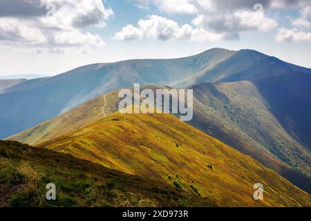 Malerische karpaten mit stoj-Gipfel in der Ferne. Landschaft mit grasbewachsenen Hängen des Borzhava-Berges an einem sonnigen Sommertag im verdampften Licht. popul Stockfoto