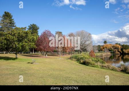 Centennial Park Parks in den östlichen Vororten von Sydney an einem Wintertag in 2024, NSW, Australien Stockfoto
