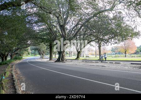 Centennial Park Parks in den östlichen Vororten von Sydney an einem Wintertag in 2024, NSW, Australien Stockfoto