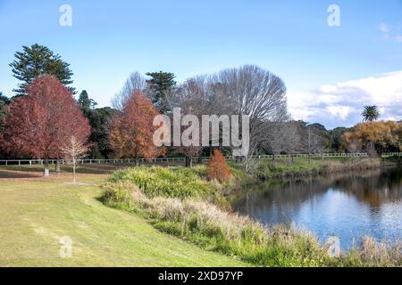 Centennial Park Parks in den östlichen Vororten von Sydney an einem Wintertag in 2024, NSW, Australien Stockfoto