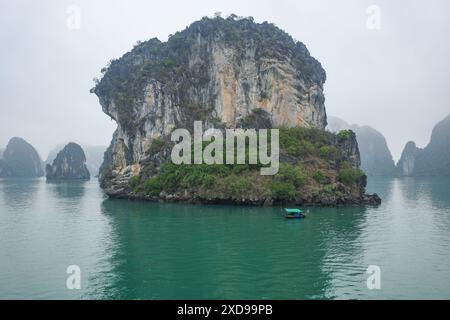 Halong Bay, Vietnam - 30. Januar 2024: Kalksteinkarste der Ha Long Bay, Südchinesisches Meer Stockfoto