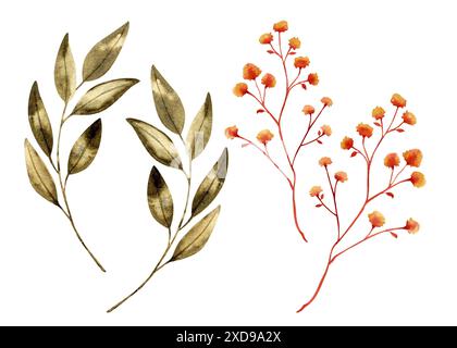 Blumenaquarell Set, Blumen, Blätter und Zweige. Aquarell isolierte Blumen und Pflanzen. Orangefarbene Blumen und grüne Blätter für Design und Musterelemente Stockfoto