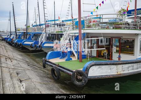 Halong-Bucht, Vietnam - 30. Januar 2024: Touristenboote werden für Besuche in der Halong-Bucht, Südchinesisches Meer, angelegt Stockfoto