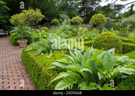 Der New York Botanical Garden in der Bronx ist ein berühmtes lebendiges Museum, Bildungseinrichtung und kulturelle Attraktion, USA 2024 Stockfoto