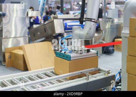 Automatisierter Roboterarm in einer industriellen Umgebung, speziell für Verpackungsvorgänge entwickelt Stockfoto