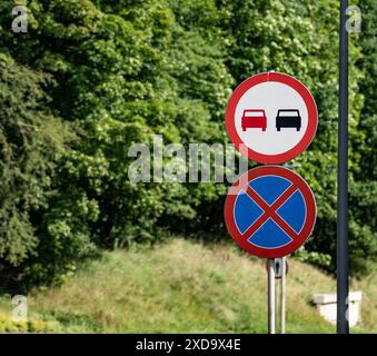 Kein Parken oder Überholen erlaubt Straßenschild vor Green Trees Stockfoto