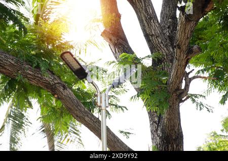 Beleuchtung in Parks, Beleuchtung mit Solaranlagen Stockfoto