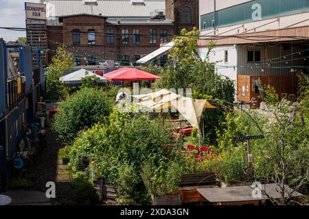 Der urbane Küchengarten CARLsGARTEN an einem 3000 qm großen Industriegebiet an der Schanzen Straße im Bezirk Mülheim, Köln. Der Urbane N Stockfoto