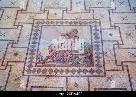 Narzissus Mosaic, Haus des Dionysos, archäologische Stätte von Nea Paphos, Zypern Stockfoto