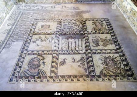 Four Seasons Mosaic, Haus des Dionysos, archäologische Stätte von Nea Paphos, Zypern Stockfoto