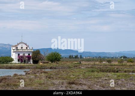 Weißes Haus mit Bäumen und Bergkulisse aus der Ferne über einen Teich an einem bewölkten Tag, Landschaft im Delta del Ebro in Tarragona in Spanien Stockfoto