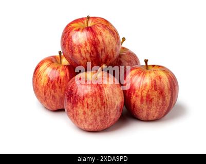 Ein Haufen reifer königlicher Gala-Apfel, isoliert auf weißem Hintergrund Stockfoto