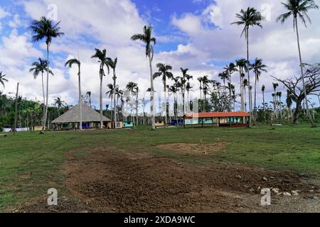 Palmen, Vegetation, Alexander von Humboldt Nationalpark, Kuba, Karibik, Mittelamerika, Landschaft mit Palmen und kleinen bunten Häusern Stockfoto