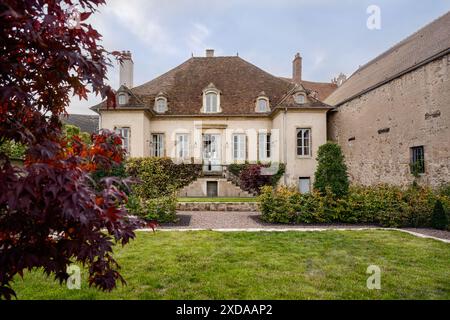 Ahornbaum in einem großen ummauerten Garten des renovierten, aus Stein gebauten Hotels, das aus dem Jahr 1770 in Saulieu, Burgund, Frankreich stammt. Stockfoto