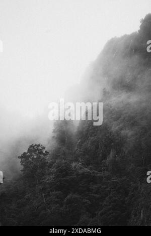 Mystische Darstellung nebeliger Berge und Wälder in Schwarz-weiß, Coromandel Pinnacles, Neuseeland Stockfoto