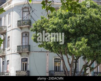 Eckgebäude mit Balkonen und Bäumen, die Licht und Schatten auf die Fassaden werfen, lissabon, portugal Stockfoto