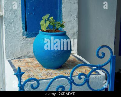 Ein blauer Blumentopf mit grüner Pflanze steht auf einer kunstvoll verzierten Hausfassade vor einem Fenster, Tunis, Tunesien Stockfoto