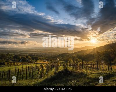 Farbenfroher Sonnenuntergang Sonnenaufgang über den Weinbergen am Balaton See, Ungarn, im Herbst, goldene Stunde Licht, schöner Himmel Stockfoto