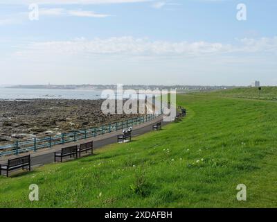 Ein langer Küstenweg mit Bänken und grünem Gras entlang des Meeres. Eine Küstenstadt ist am Horizont erkennbar, thynemouth, england, Großbritannien Stockfoto