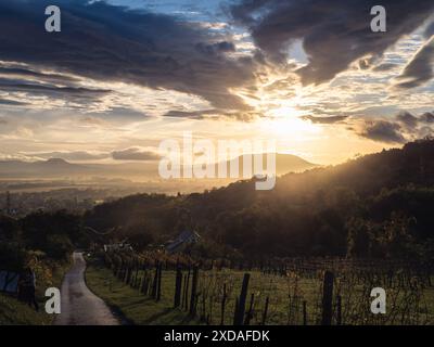 Farbenfroher Sonnenuntergang Sonnenaufgang über den Weinbergen am Balaton See, Ungarn, im Herbst, goldene Stunde Licht, schöner Himmel Stockfoto